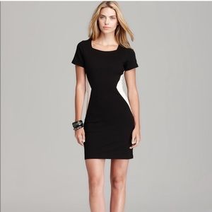 PJK Patterson J. Kincaid Dress